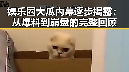 娱乐圈大瓜内幕逐步揭露：从爆料到崩盘的完整回顾