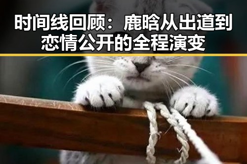 时间线回顾：鹿晗从出道到恋情公开的全程演变