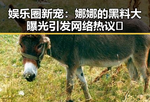 娱乐圈新宠:娜娜的黑料大曝光引发网络热议🔥